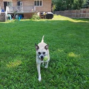 Meet your Posher, Roxanne